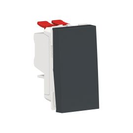 Cruzamiento_1_modulo__antracita