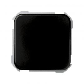 Plaquita_ciega_marron_