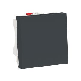 Pulsador_2_modulos_antracita