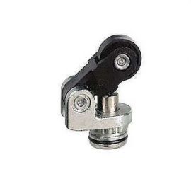 Roldana__para_cuerpo_zcp