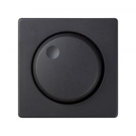 Tapaboton_regelect_grafito