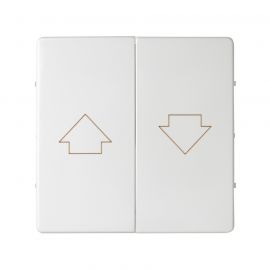 Tecla_persiana_blanco